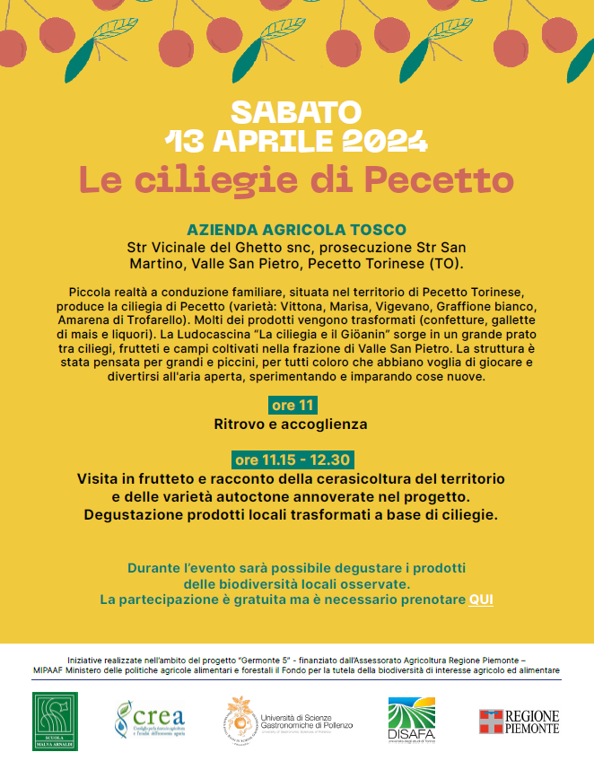 3 ciliegie pecetto