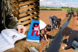 UNISG Research contributes to the achievement of the Sustainable Development Goals