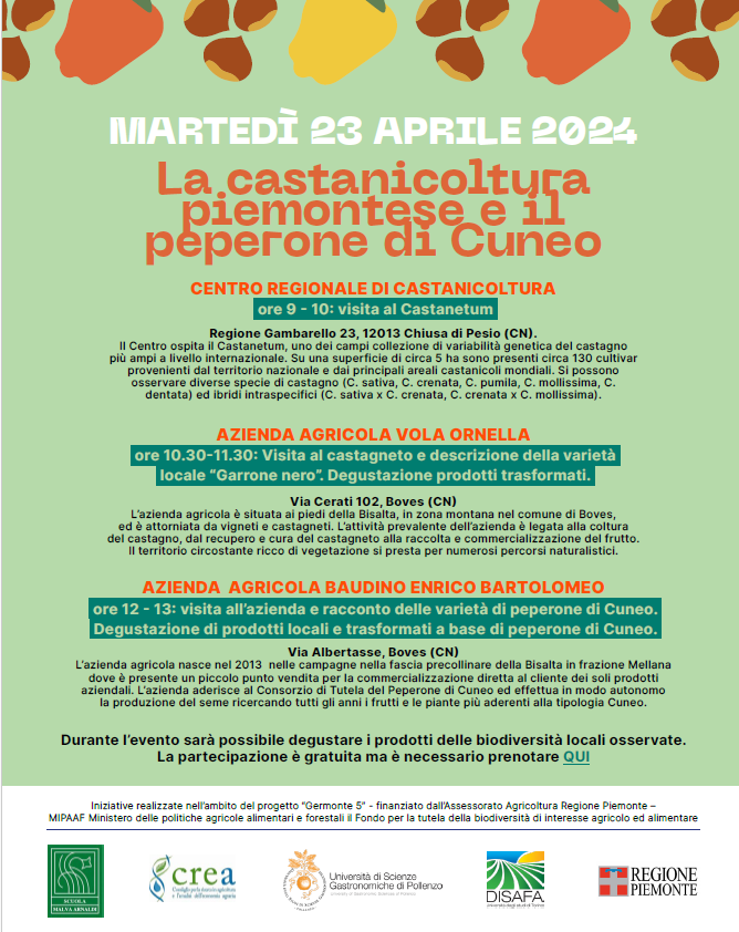 4 castagna