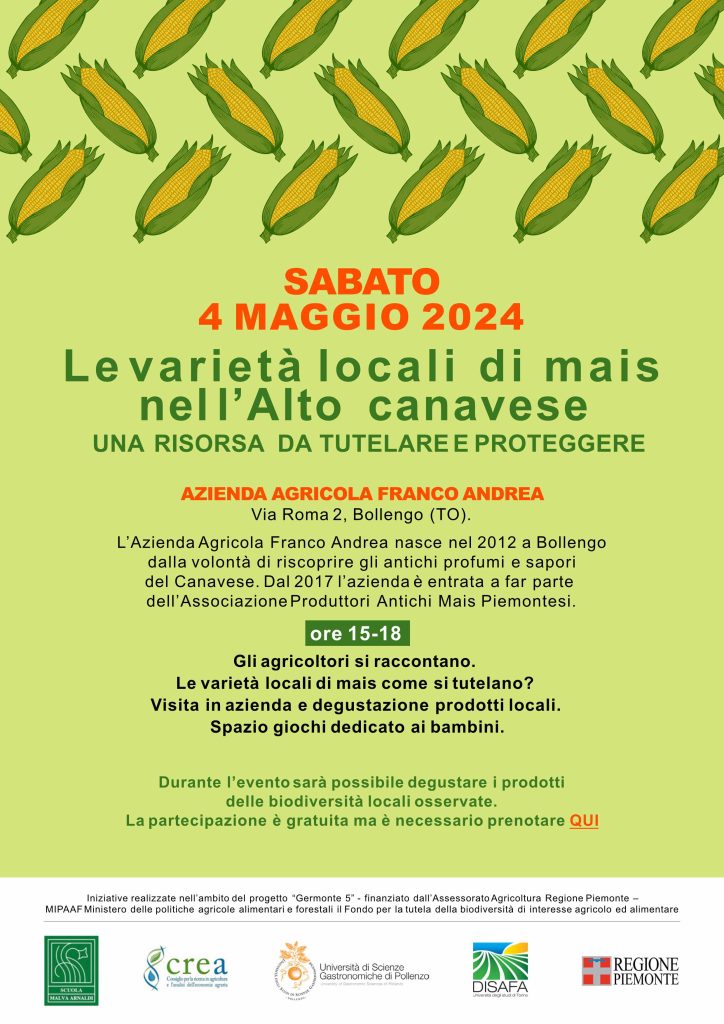 5 mais