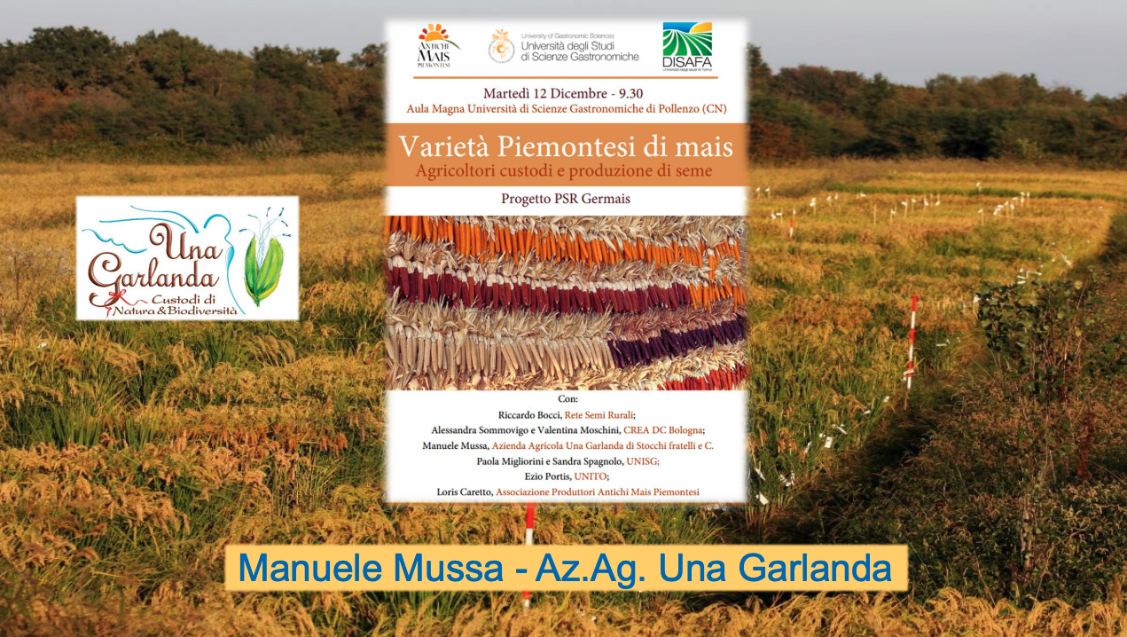 5 azienda agricola mussa