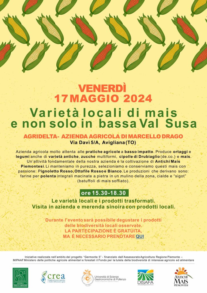7 mais valsusa