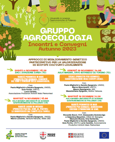 7 gruppo agro