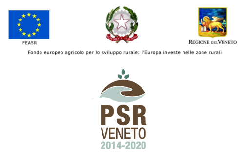 SHEEP-UP - Biodiversità Ovina Veneta: un’opportunità economica per Allevatori e Territorio
