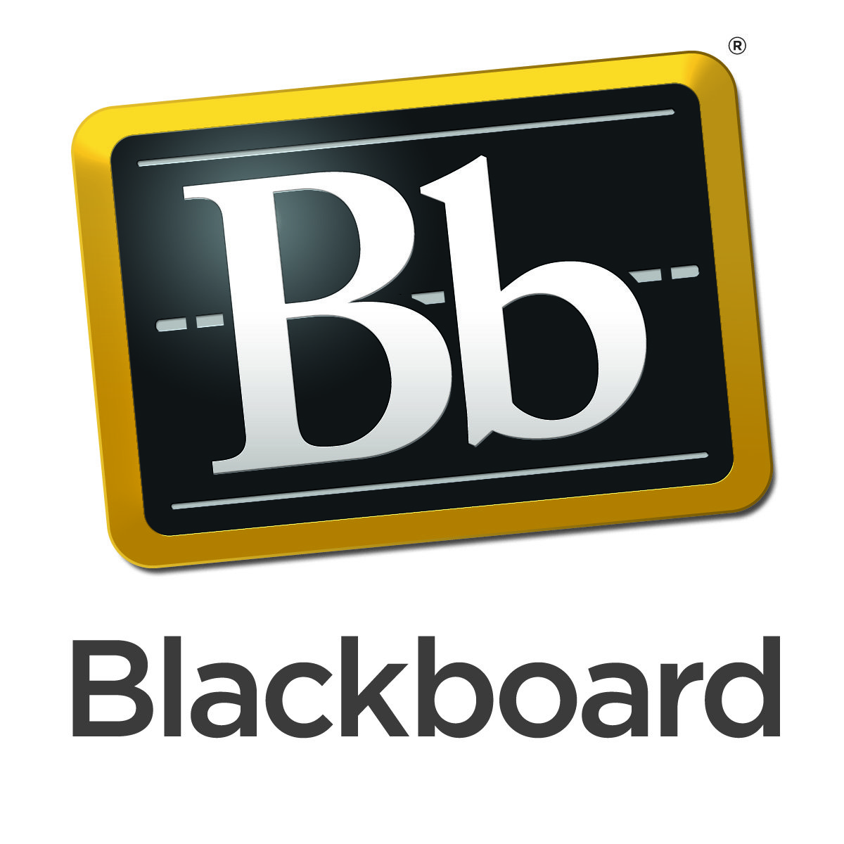 Un nuovo strumento didattico per l'UNISG: la piattaforma e-learning Blackboard