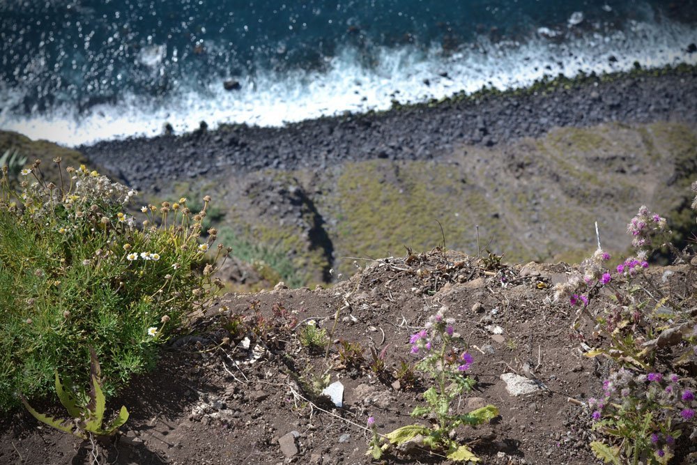 blogging_wine_tour_canary_islands_decesare_unisg_pollenzo-2