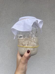 Fermentation As Making-With Microbial Life: Fostering A Sourdough Starter As A Way To Reimagine Mortality