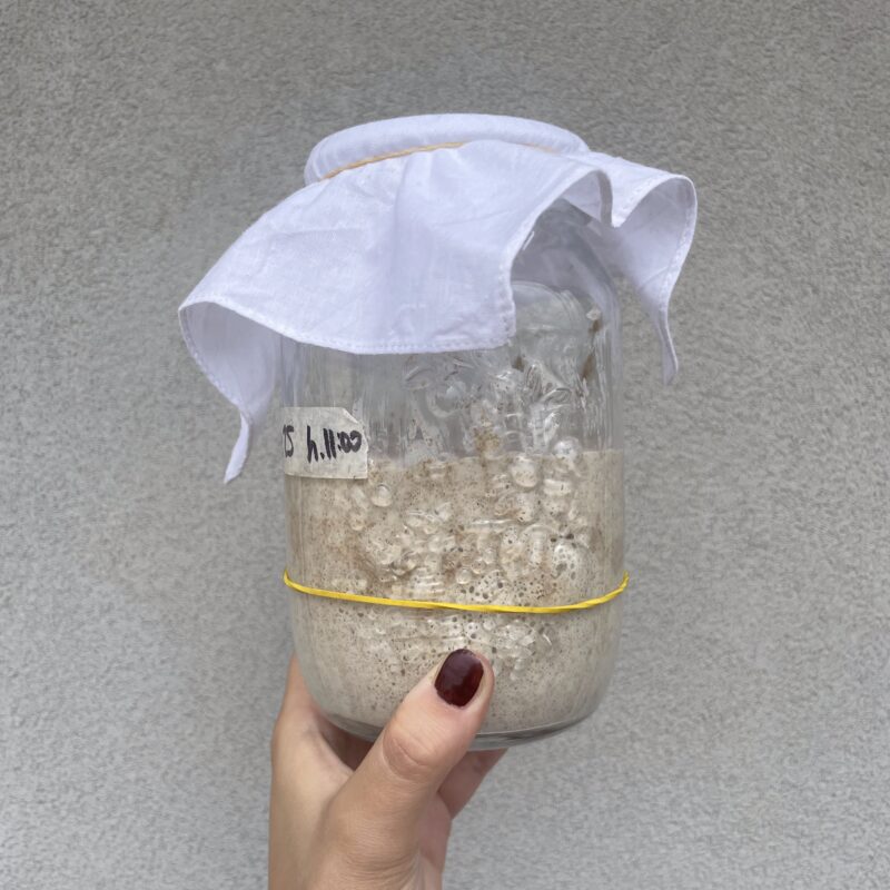 Fermentation As Making-With Microbial Life: Fostering A Sourdough Starter As A Way To Reimagine Mortality
