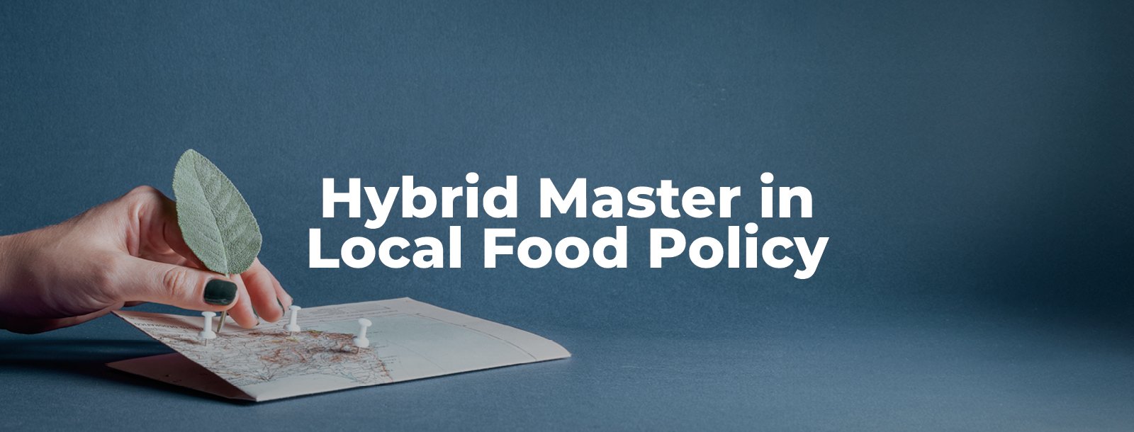 master food