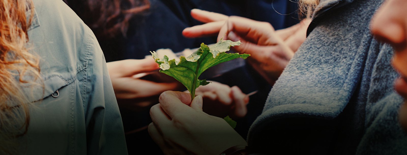 Inizio prima edizione del Master in Agroecology and Food Sovereignty