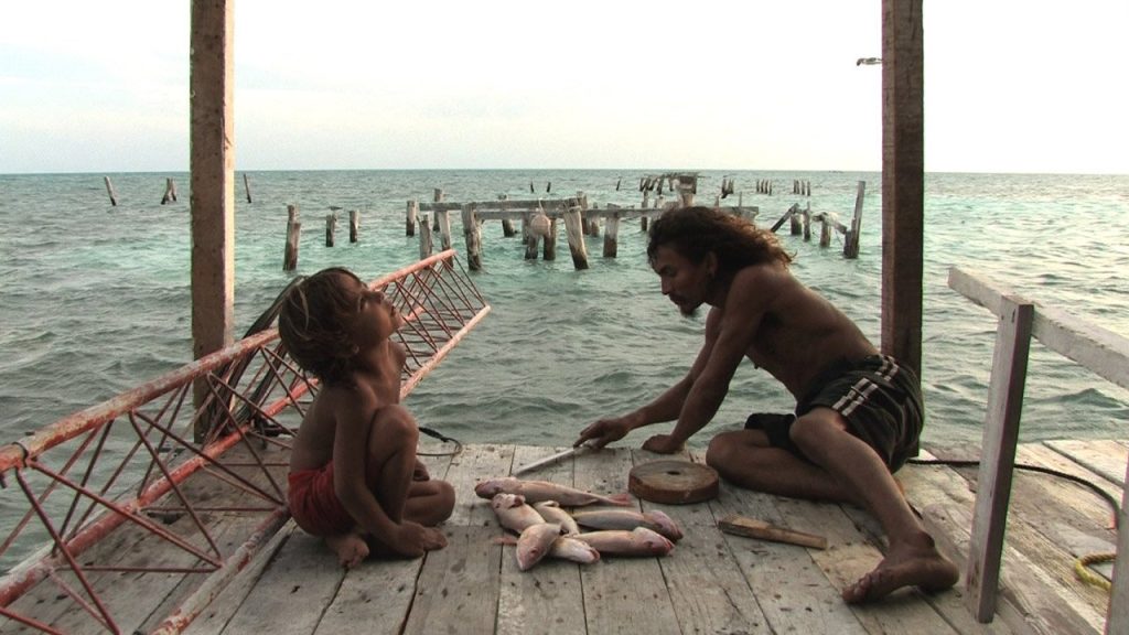 alamar slow fish