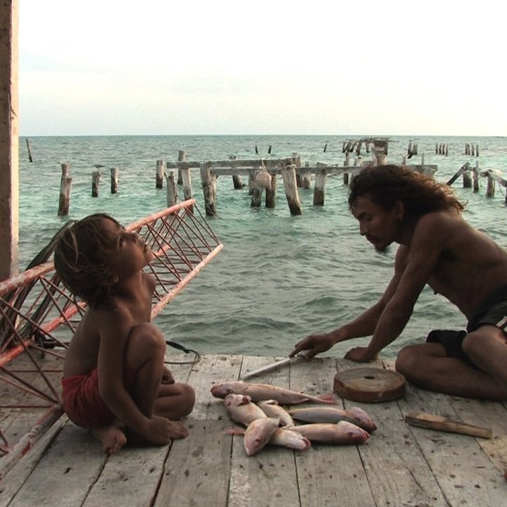alamar slow fish