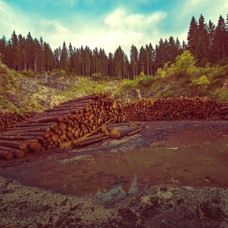 Animals in Agricultural Ecosystems: Opportunities for Wildlife