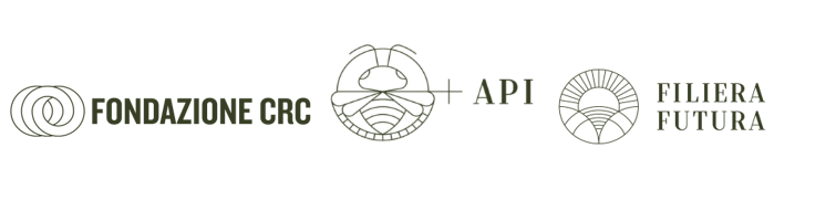 +api loghi