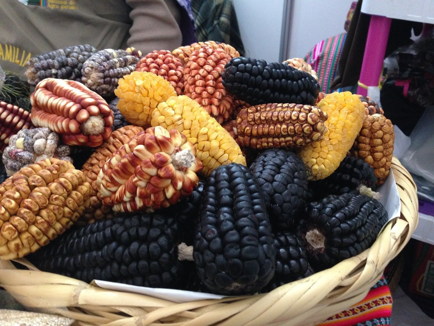 Arca del Gusto