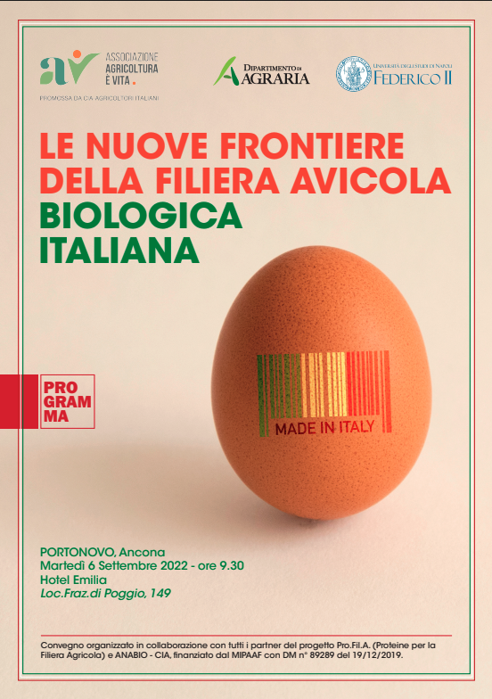 avicola 1