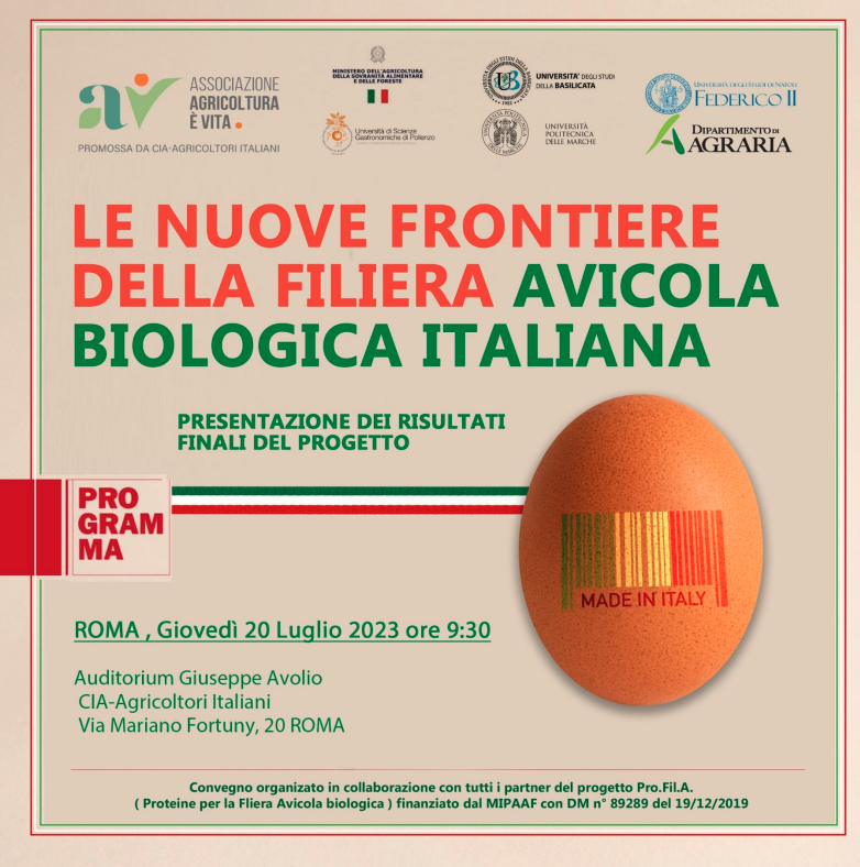 avicola 3