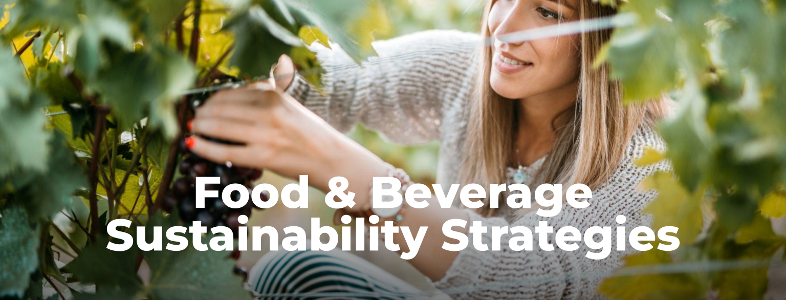 Future for Food: Innovation & Business Strategies Master