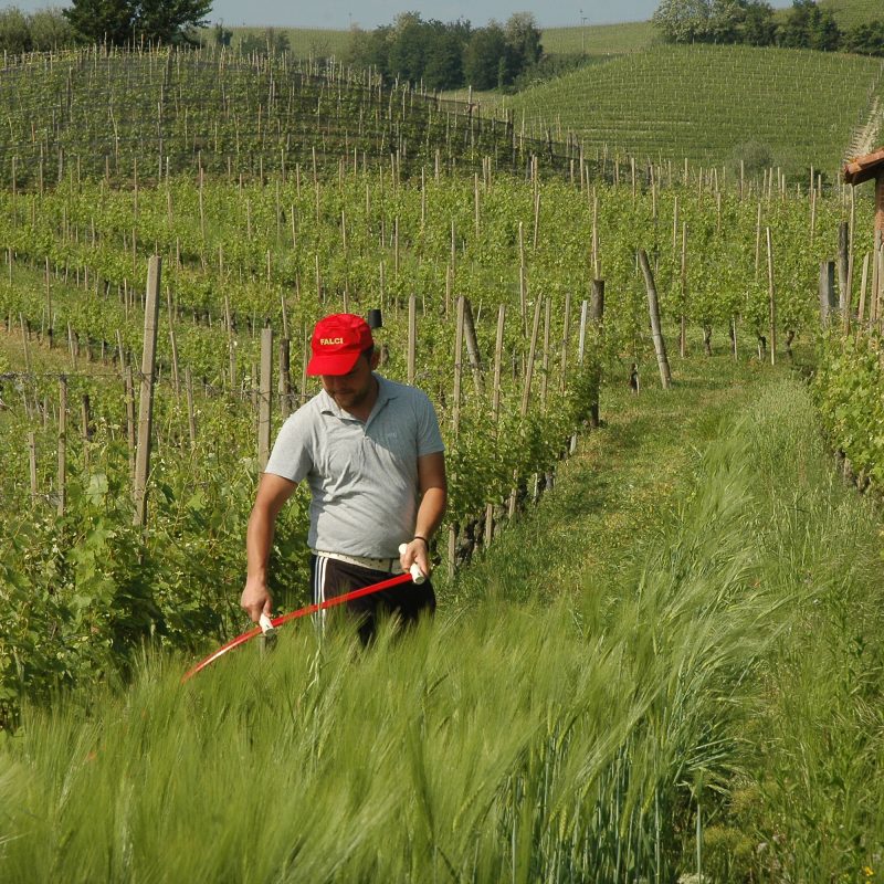 Il I corso italiano in Cultura e Tecnica della Falciatura