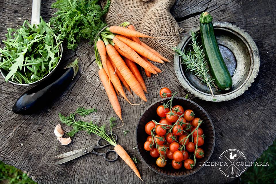 fazenda_culinaria_rio_de_janeiro (5)