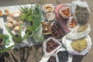 “La guerra mette a rischio anche la biodiversità, il patrimonio gastronomico tradizionale e la culture locali” La ricerca sul campo e il progetto dell’Atlante dei Prodotti dell’Ucraina condotto dall’UNISG  nelle parole del prof. Andrea Pieroni