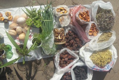 “La guerra mette a rischio anche la biodiversità, il patrimonio gastronomico tradizionale e la culture locali” La ricerca sul campo e il progetto dell’Atlante dei Prodotti dell’Ucraina condotto dall’UNISG  nelle parole del prof. Andrea Pieroni