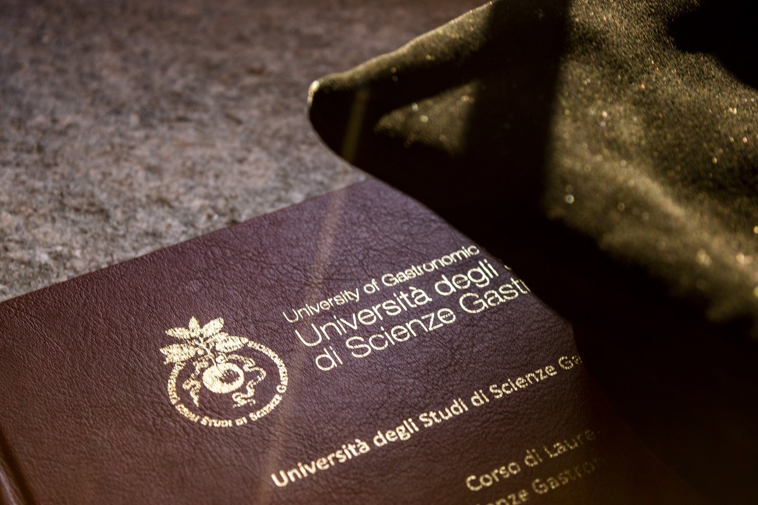 laurea gastronomi