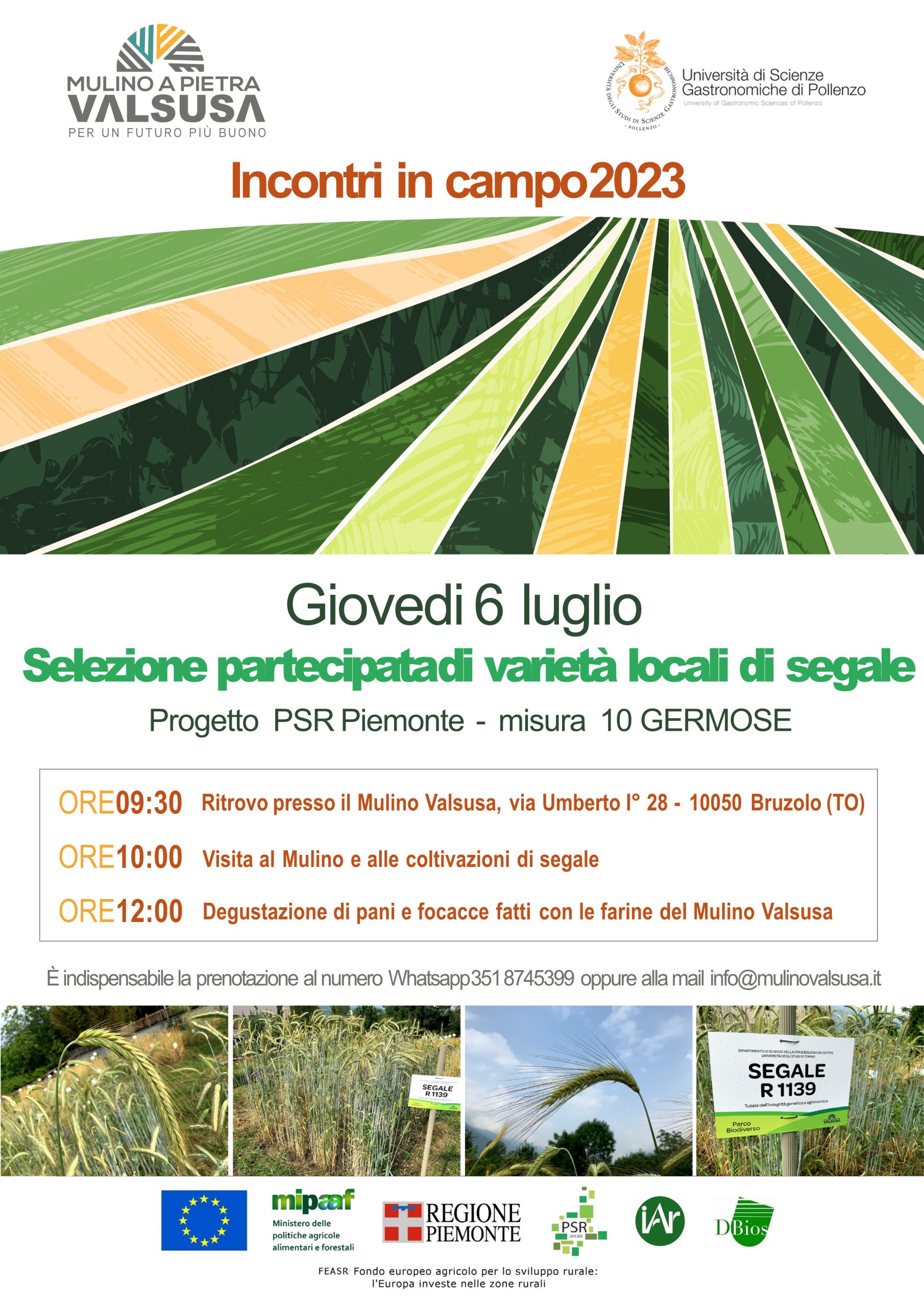 locandina a4 germose segale 2023 scaled