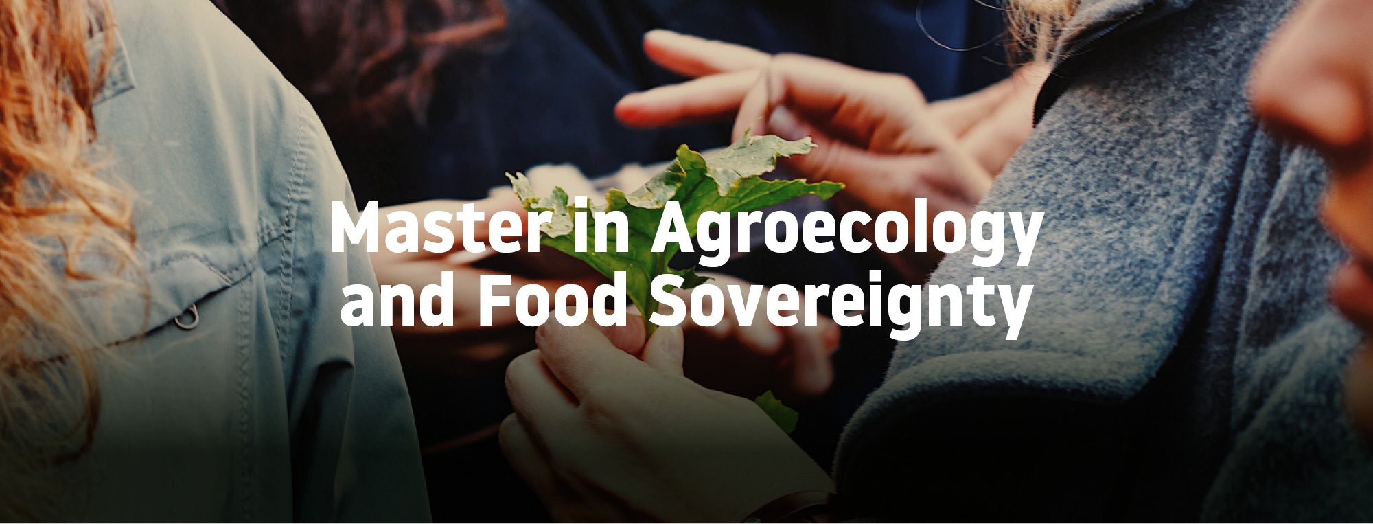 laurea gastronomi
