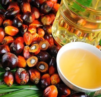 Olio di Palma