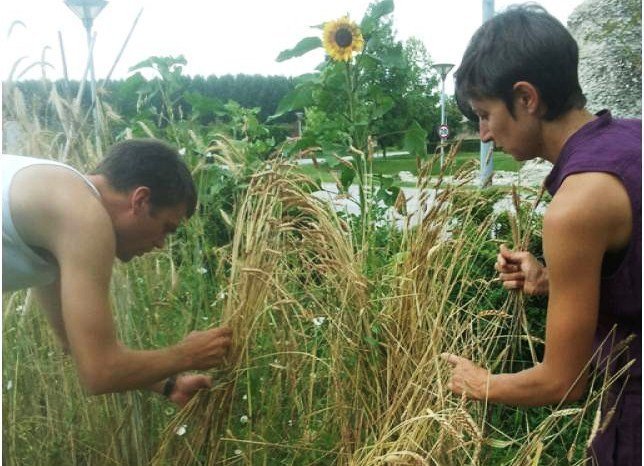 orti didattici 3
