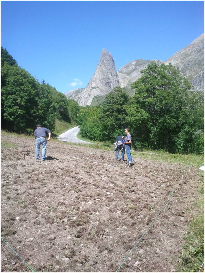 orto didattico UINSG 6