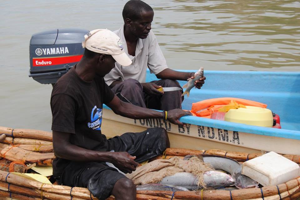 barca slow fish