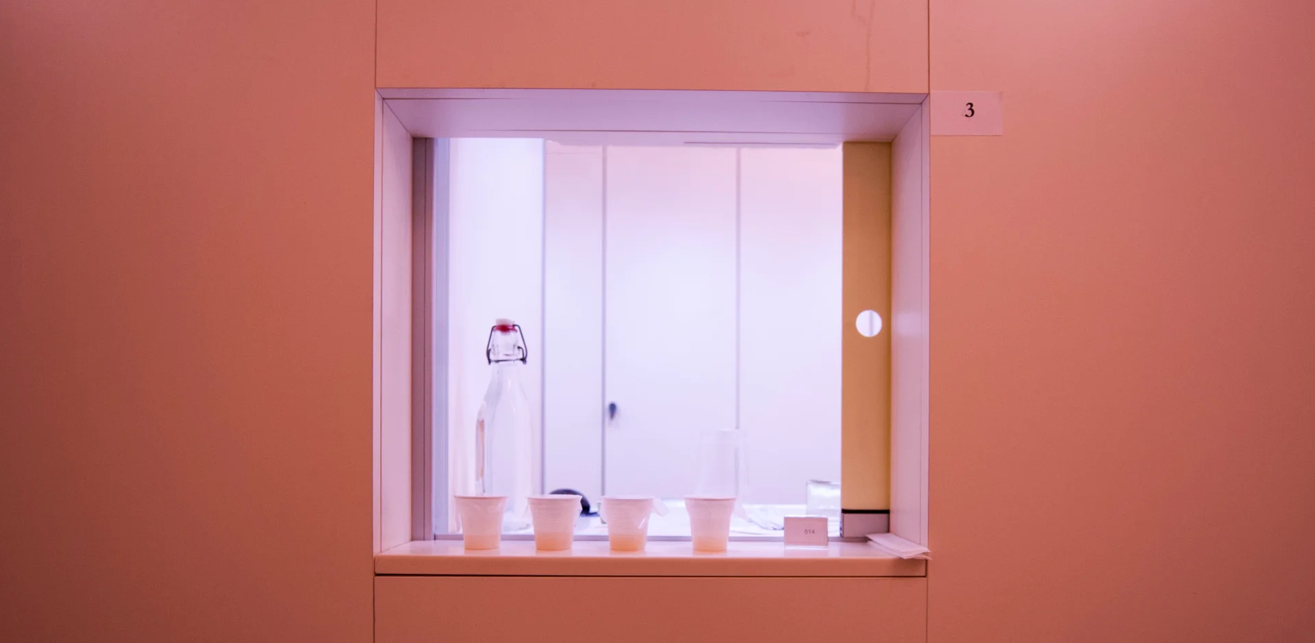 Sensory, Behavior and Cognition (SBC) Lab