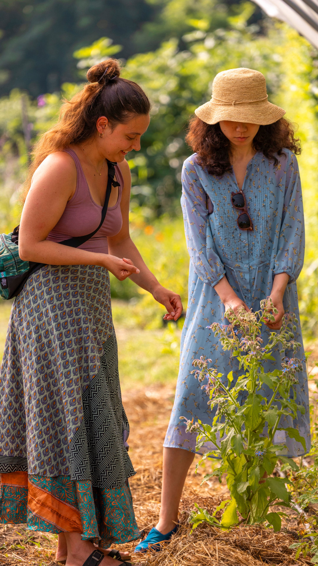 pollenzo-summer-school-verticale-1.jpg
