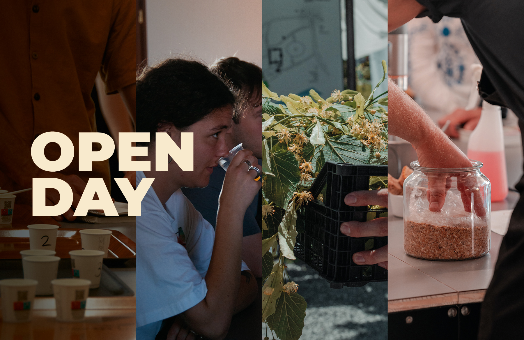 popup opeday 1800x1167px 2027