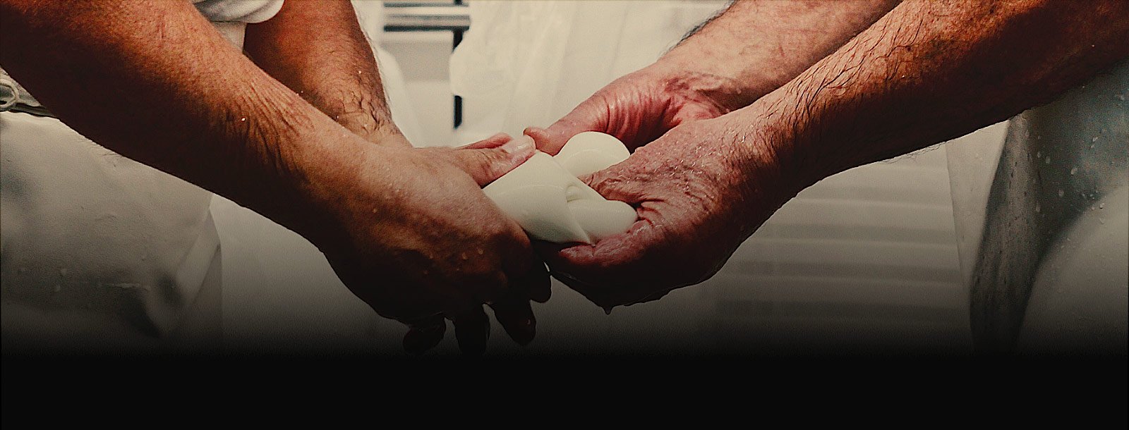 master raw milk cheese