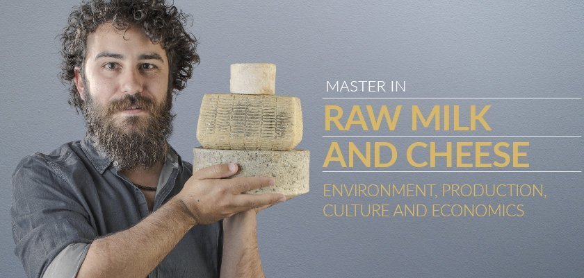master raw milk cheese
