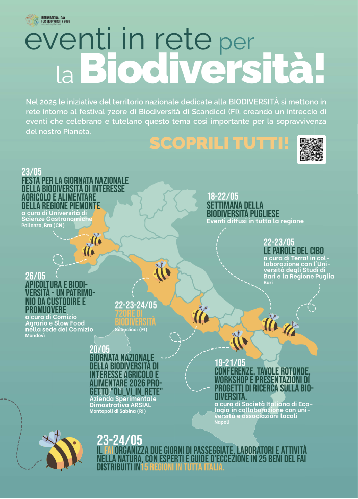screenshot 2026 05 22 alle 10.54.22