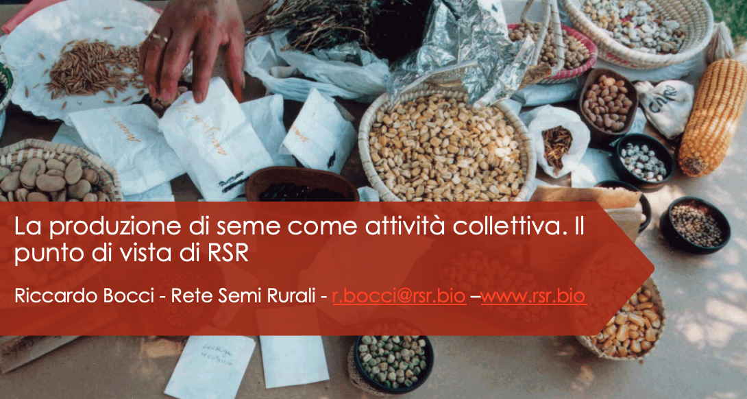 screenshot 2026 10 09 alle 16.56.24