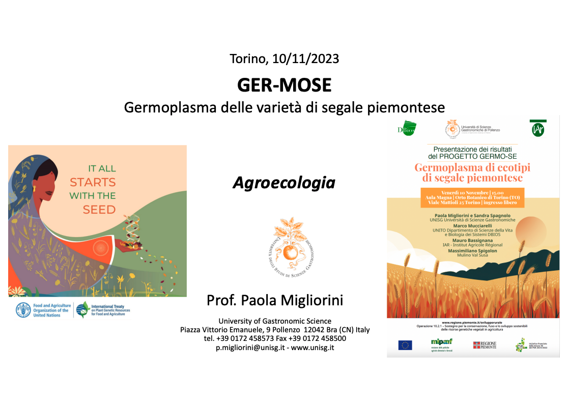 screenshot 2026 10 14 alle 17.31.03