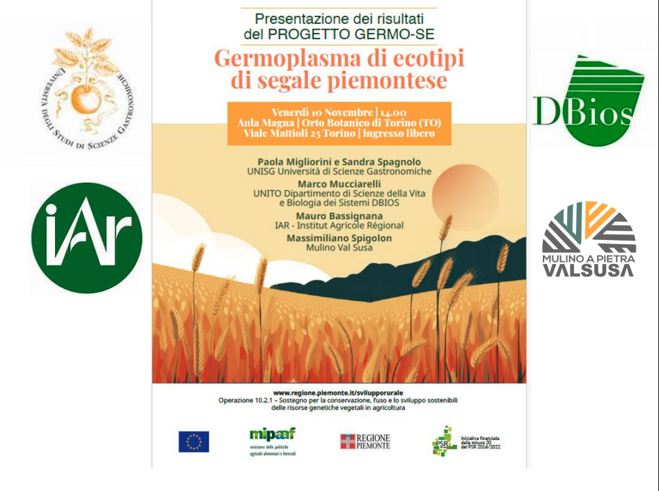screenshot 2026 10 14 alle 17.35.23