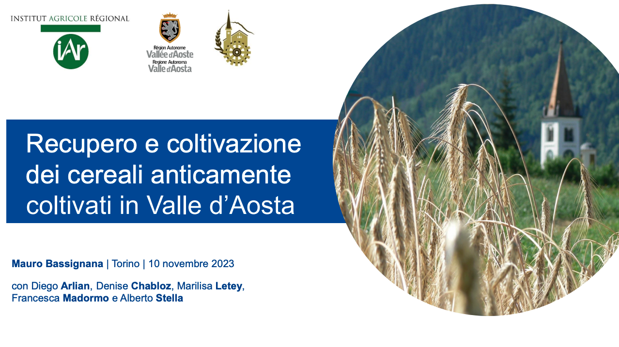 screenshot 2026 10 14 alle 17.36.06
