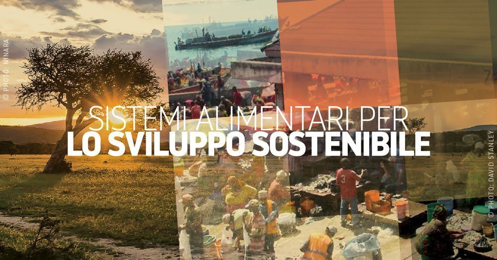 seminario sistemi alimentari africa