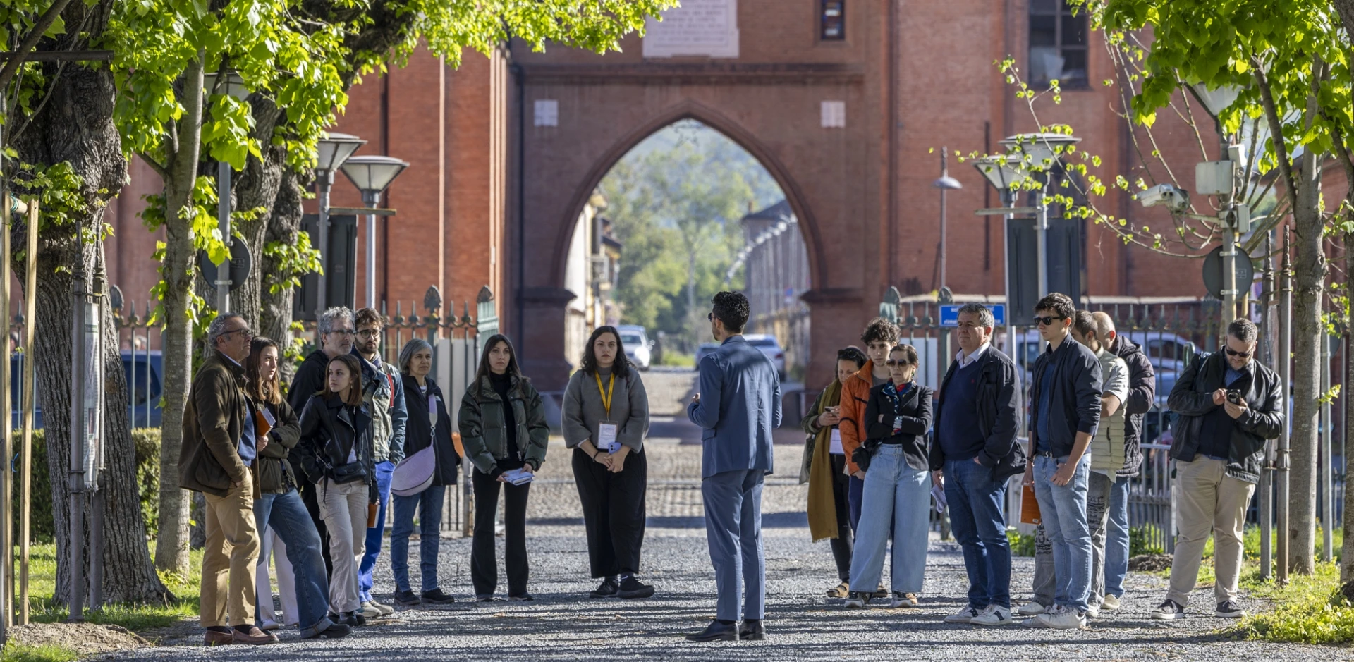 Discover the courses
