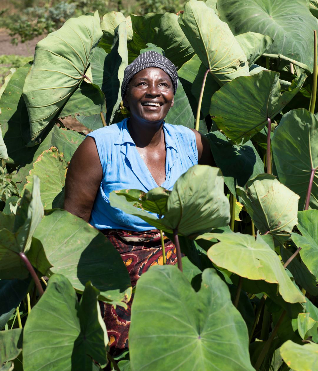 slowfood orti africa