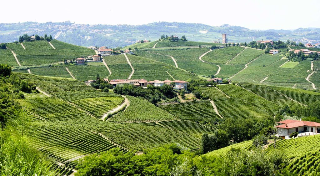 two_hungrey_italians_unisg_pollenzo-2