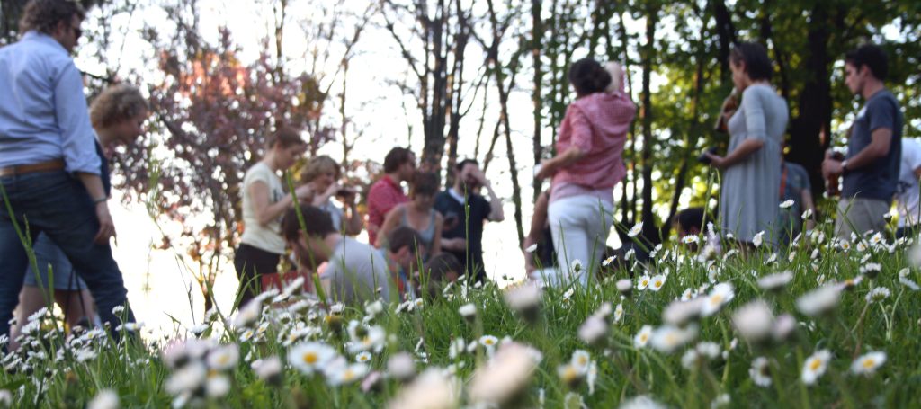 unisg foraging