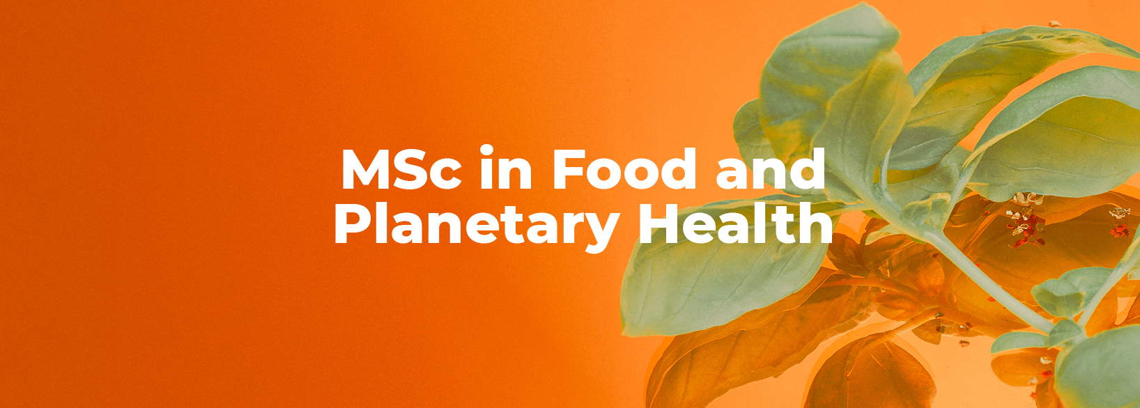 Laurea Magistrale in Food and Planetary Health