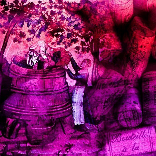 Finding the Crossover between Wine, Anthropology and Genomics